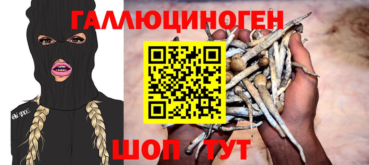 Псилоцибиновые грибы GOLDEN TEACHER Рубцовск