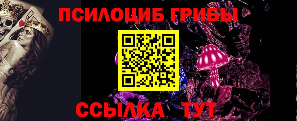Галлюциногенные грибы Psilocybe  Вход с VPN  Рубцовск  Псилоцибиновые грибы MAGIC MUSHROOMS 